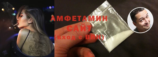 скорость Ельня