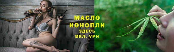 скорость Ельня