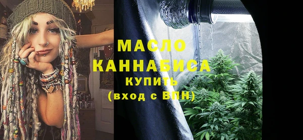скорость Ельня