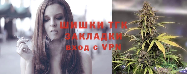 винт Елабуга