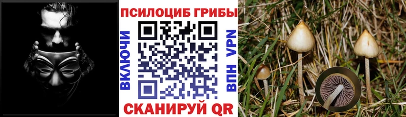 Галлюциногенные грибы прущие грибы  кракен tor  Ивантеевка 